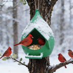 Winter Hanging Bird Feeder & Bird Nesting House