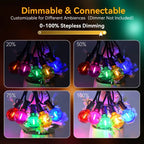 🎄Early Christmas Sale🔥Christmas Colored String Lights