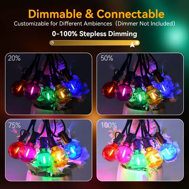 🎄Early Christmas Sale🔥Christmas Colored String Lights