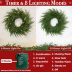 🎄Early Christmas Sale🔥Lighted Norfolk Pine Wreath