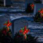 Christmas Waterproof Cross Solar Stake Decoration with Holiday Greenery & Poinsettia &  Berries