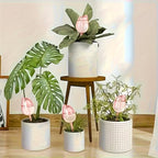 Tulip-Shaped Plant Watering Globes with Narrow Nozzle Slow-Drip Design